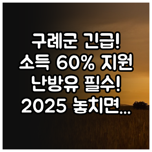중위소득 60% 구례군 저소득 202..