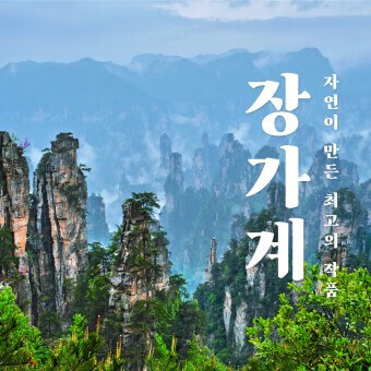 부모님 장가계 효도 여행, 과연 어떨까?