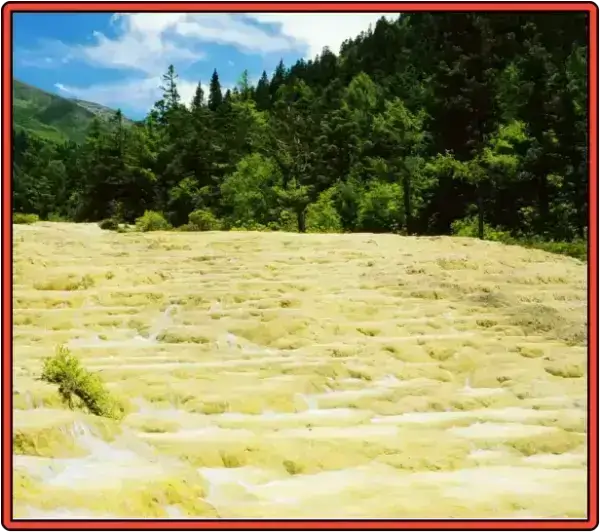 구채구-황룡-풍경구-금사포지