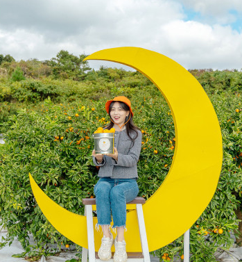 제주투어패스 구매&#44; 예약&#44; 사용방법