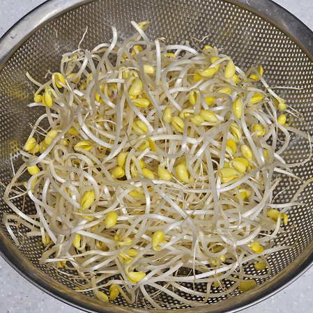 콩나물이 채반에 담긴 모습