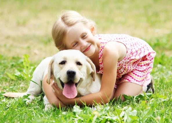 노을 반려견 캠핑장