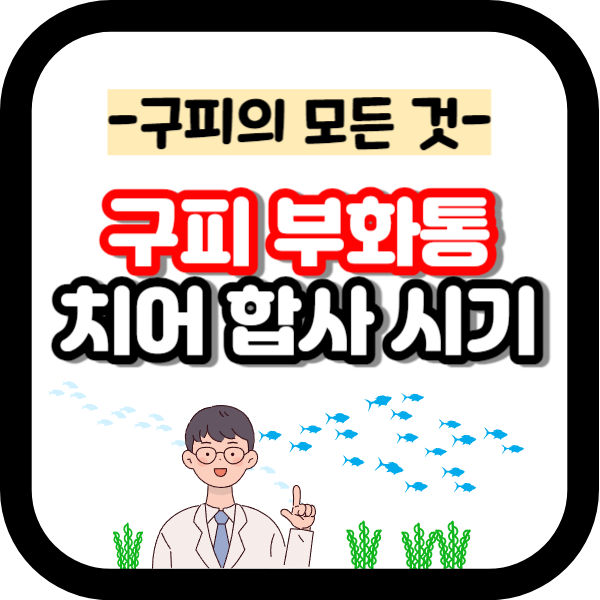 구피 치어 부화통, 합사 시기는?