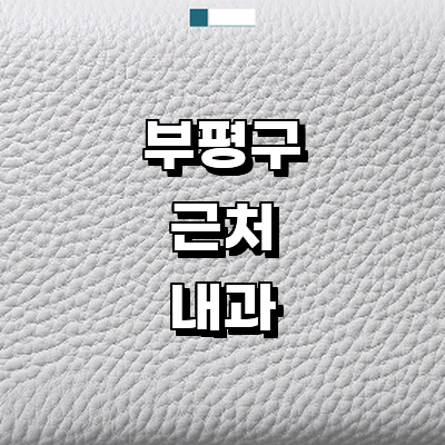 인천 부평구 내과