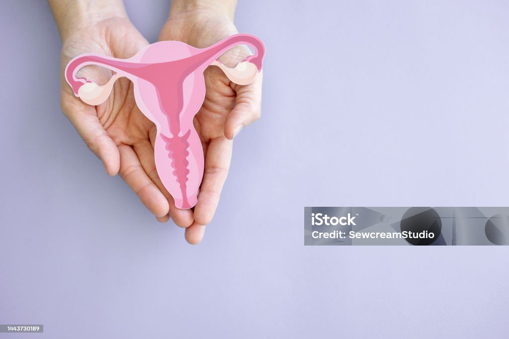 자궁근종? 자궁선근증? 수술 없이 치료 가능한 하이푸시술&amp;#44; 언제 받아야 할까?