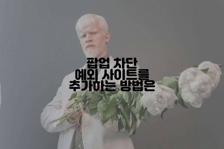 팝업 차단 예외 사이트를 추가하는 방법은