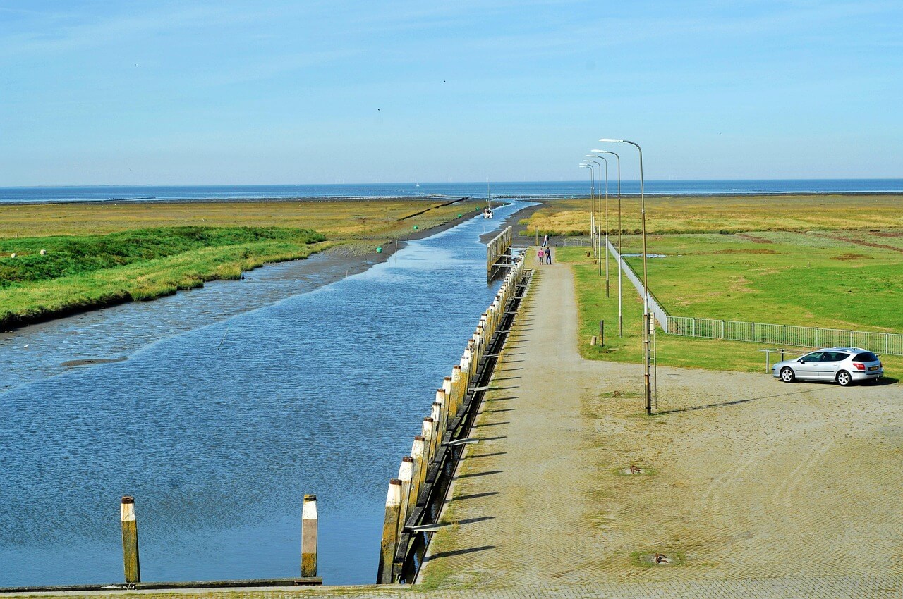 드르니항 맛집부터 튤립축제까지
