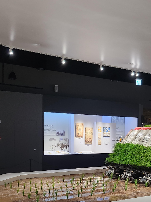 국립농업박물관 체험