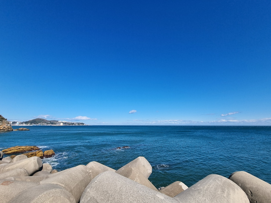 동해 가볼만한곳 천곡항 후기 &amp;#124; 수상 레저와 감성돔 낚시&amp;#44; 작은 항구 매점