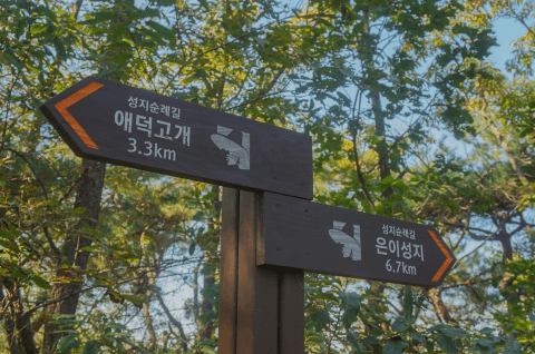 [명품숲길 50선 가을단풍 산행 ③] 청년 김대건길 : 역사와 단풍이 만나는 용인의 순례숲