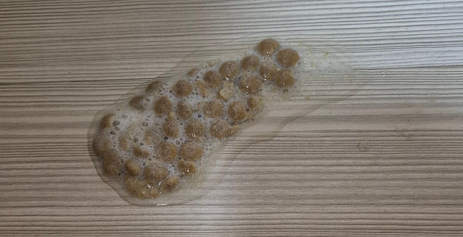 사료토 관련 사진