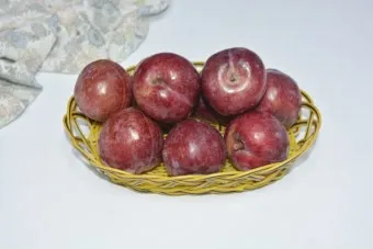 자두 보관법 수확시기 효능 자두청 만들기_14