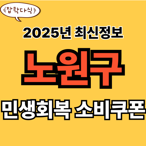 노원구 민생회복 소비쿠폰 신청 완벽 가이드