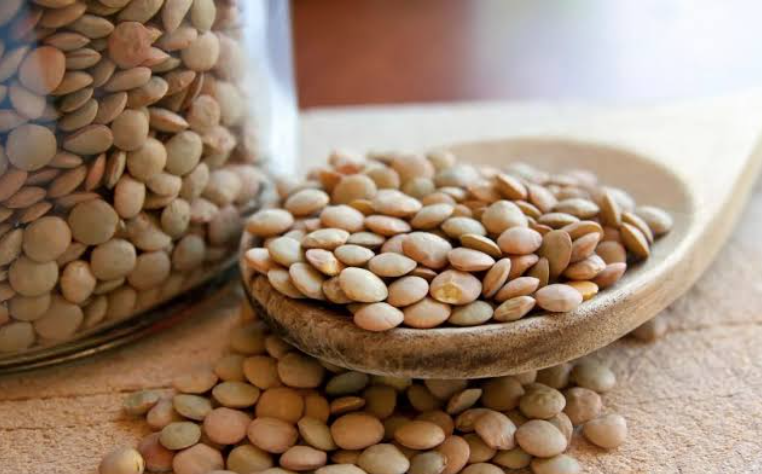 다이어트 식품 렌틸콩