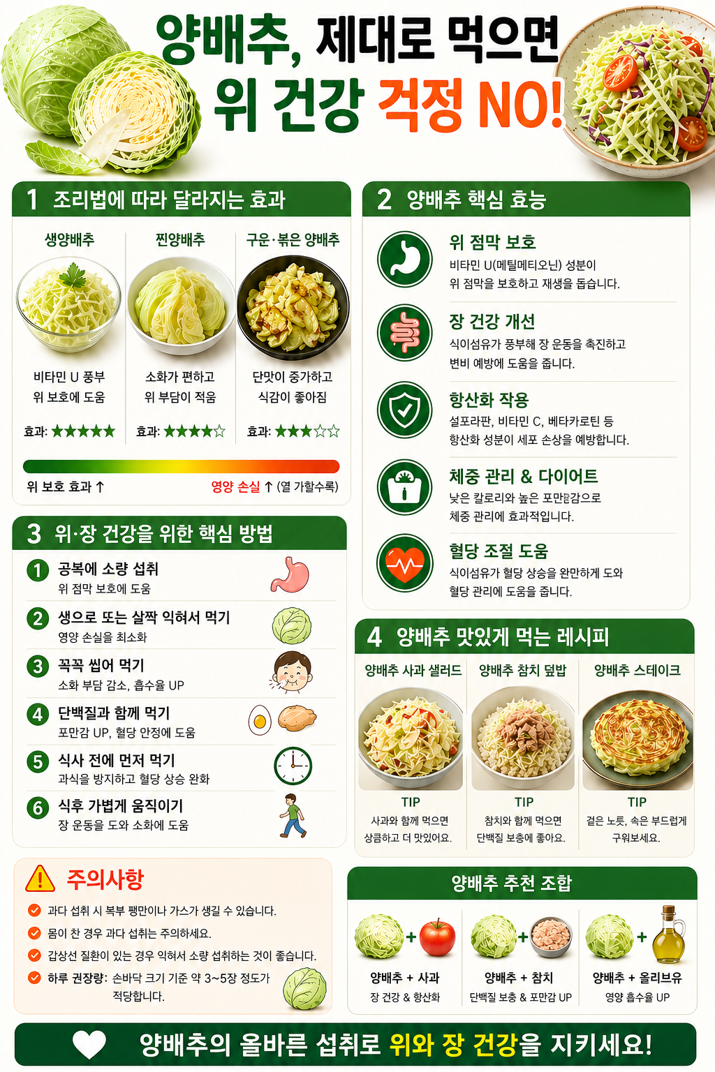 양배추 제대로 먹으면 위권같이 걱정 NO 이미지