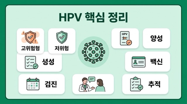 HPV 바이러스 핵심 정리 카드