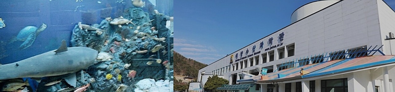 여수 해양수산과학관 수족관 모습과 해양수산과학관 외부 모습