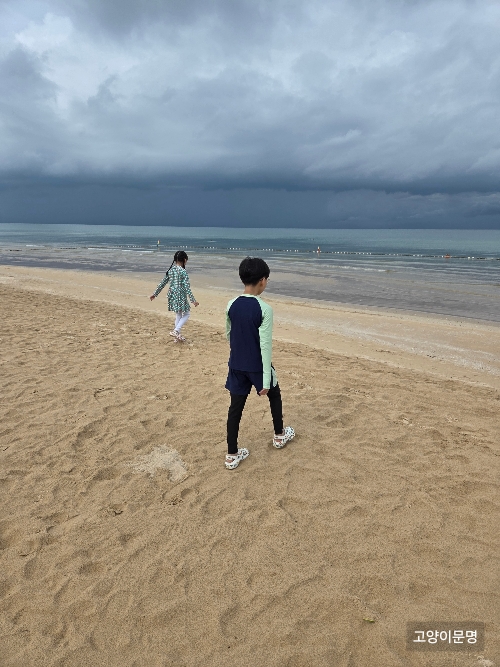 크라운 플라자 리조트 앞 바다