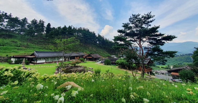 산청 수선사 템플스테이