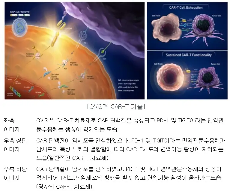 큐로셀 공모주