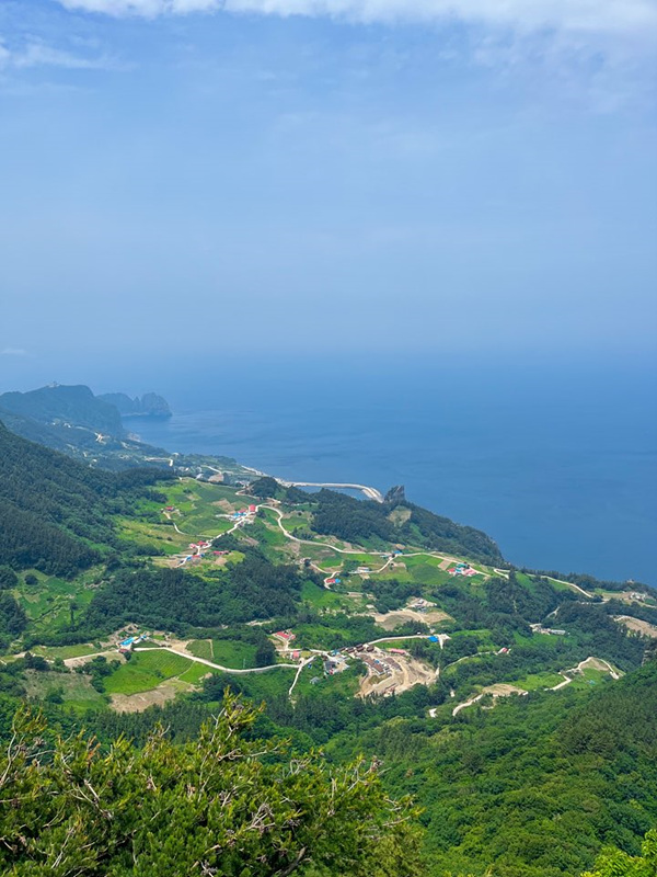 울릉도 여행 준비