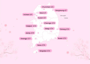 #봄축제 #벚꽃개화 #매화축제 #영등포봄꽃축제 #안동벚꽃축제 #광양매화축제 #기후변화 #봄여행 #한국여행 #봄꽃추천 #안전관리