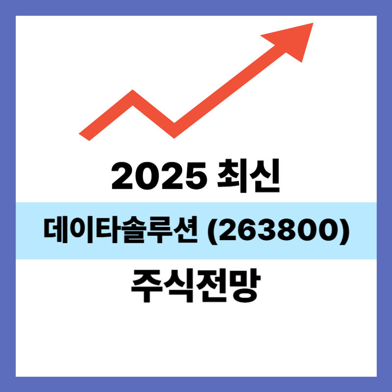 데이타솔루션 (263800)