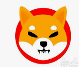 시바이누 코인 가격 전망