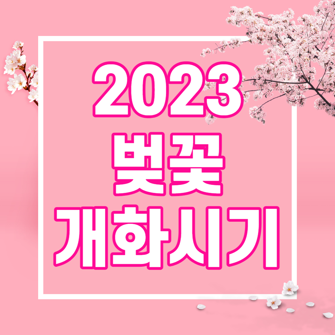 2023 벚꽃 개화시기