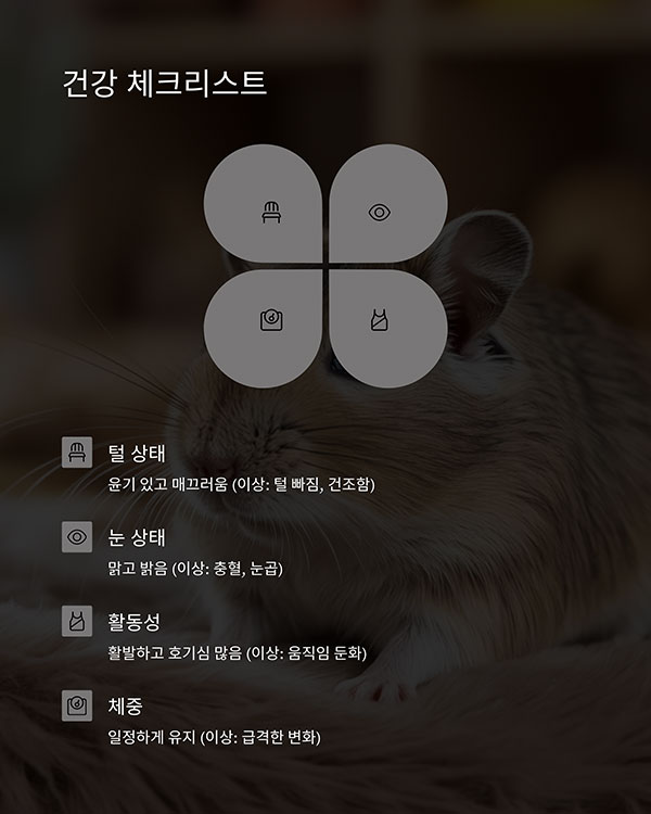 건강 관리 체크리스트