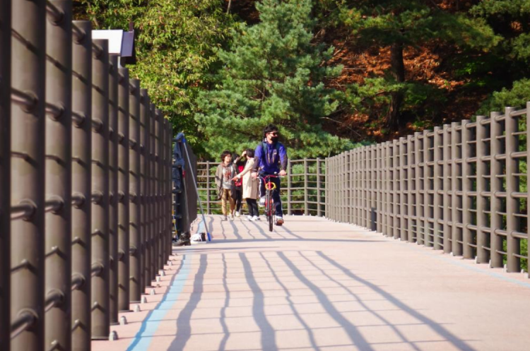 의암호 스카이워크