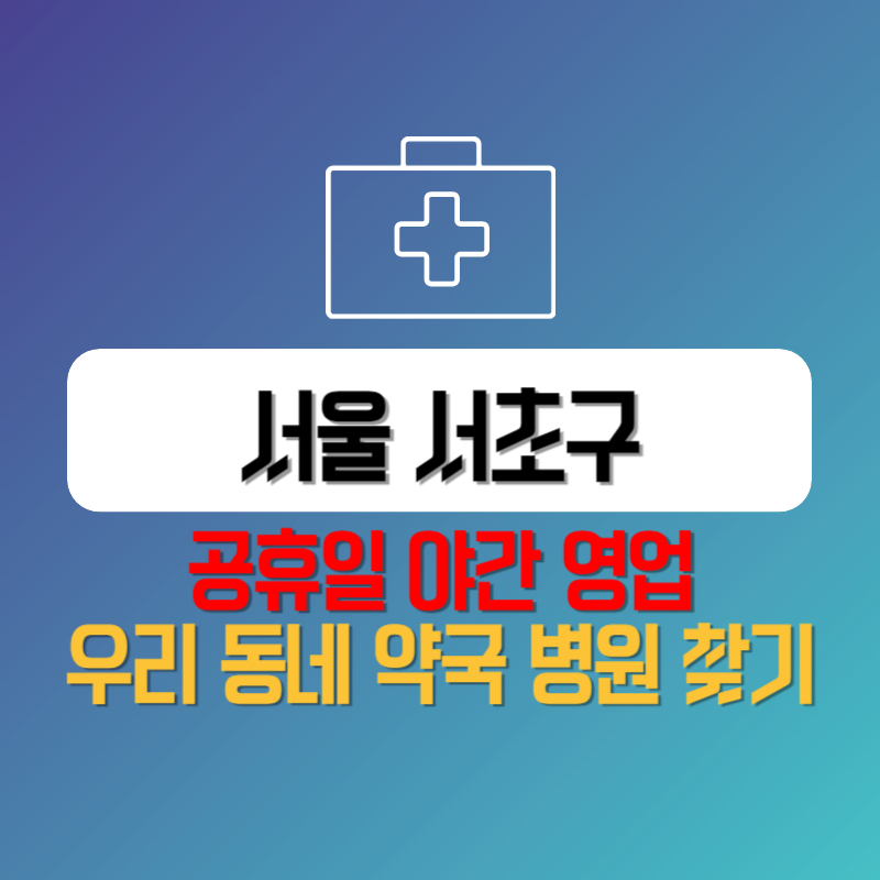 서울 서초구 공휴일 야간 영업 우리 동네 약국 병원 찾기