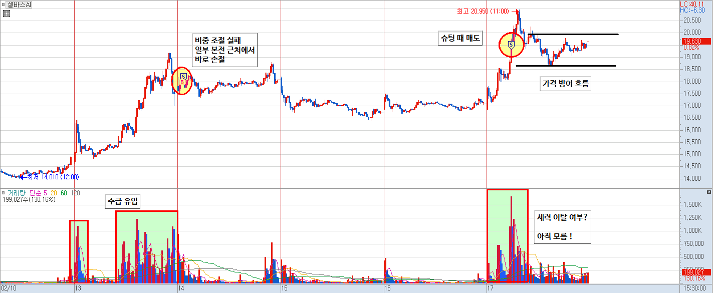 셀바스AI 분봉 차트