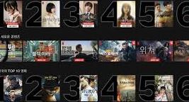 넷플릭스 계정 공유