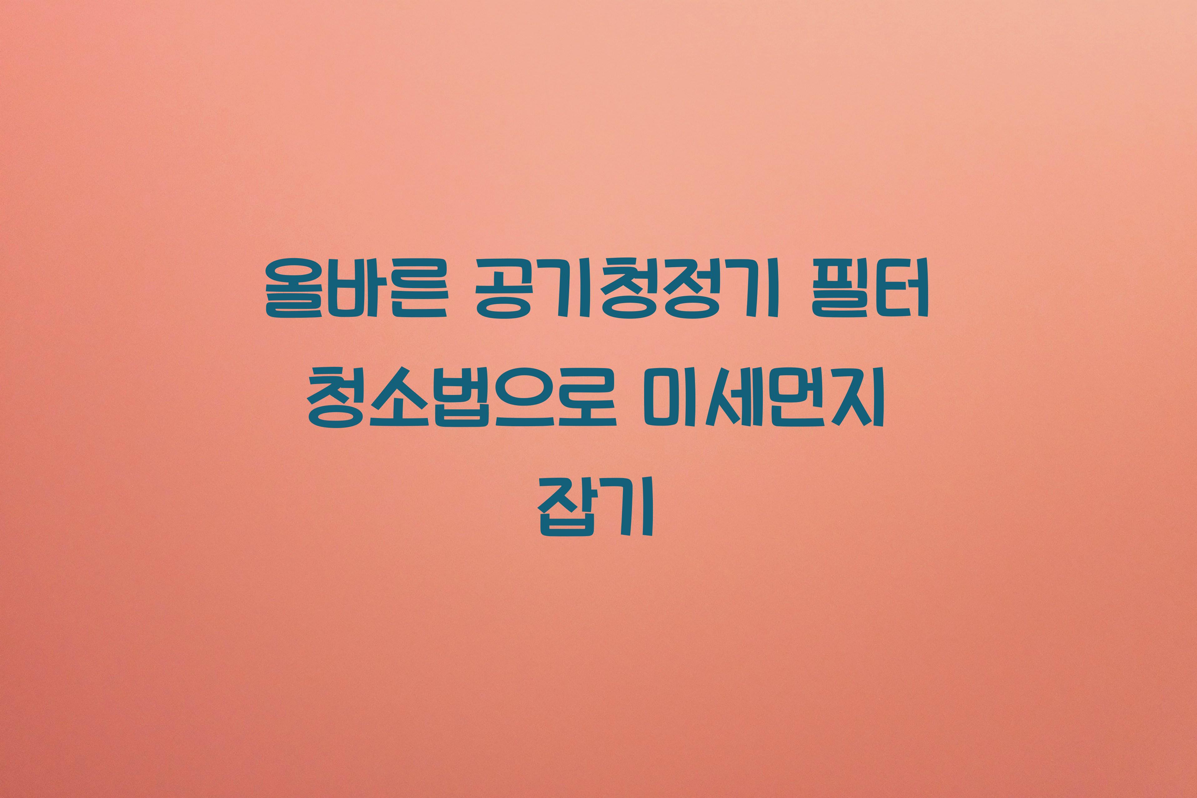 올바른 공기청정기 필터 청소법