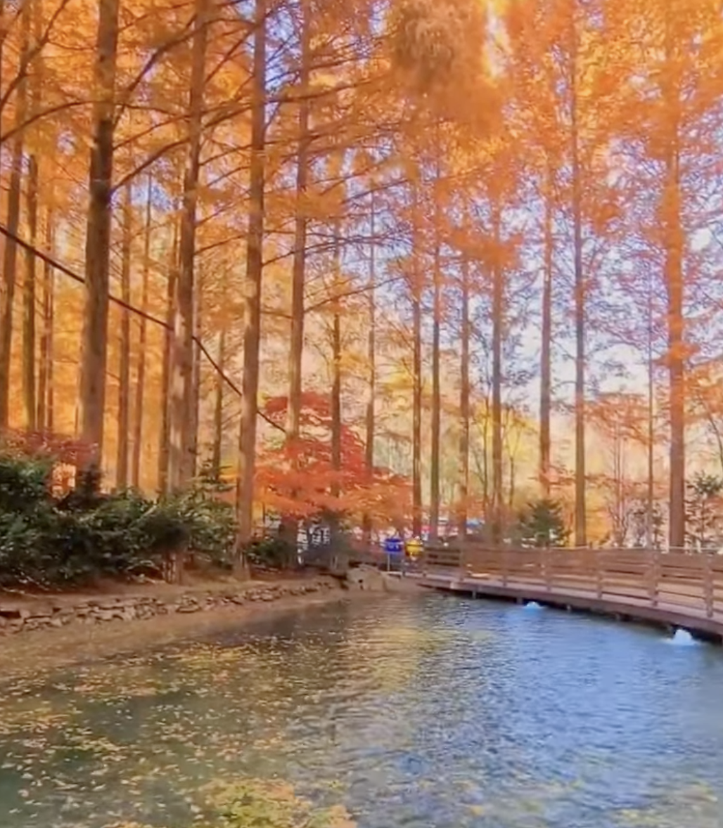 장태산 자연휴양림