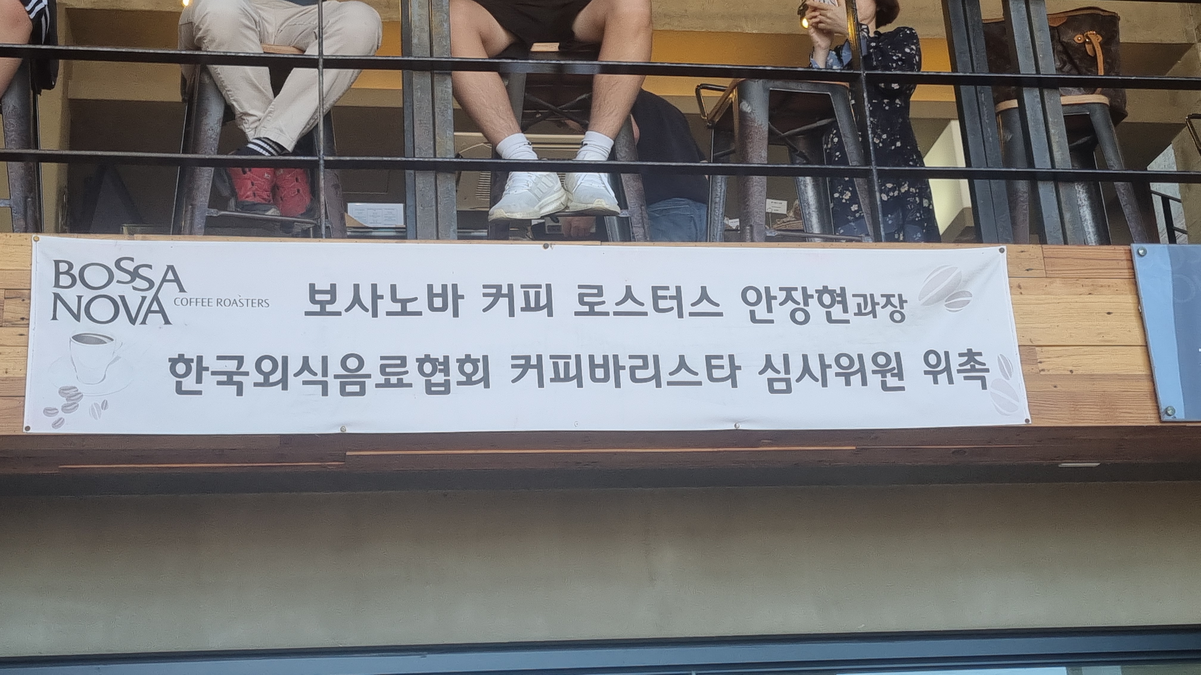 강릉 보사노바 - 카페 거리 카페 추천 애견 카페 안목 해변 가을 여행