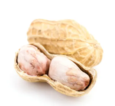 가을 제철 음식 땅콩 효능과 영양성분&amp;#44; 주의점