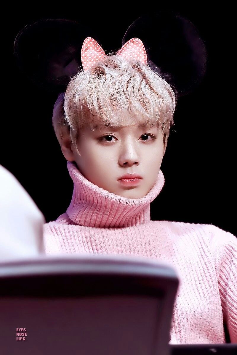 강다니엘 / 워너원