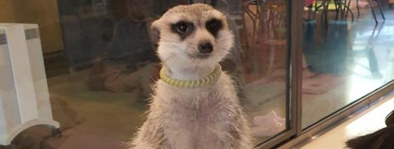 홍대 가볼 만한 곳3