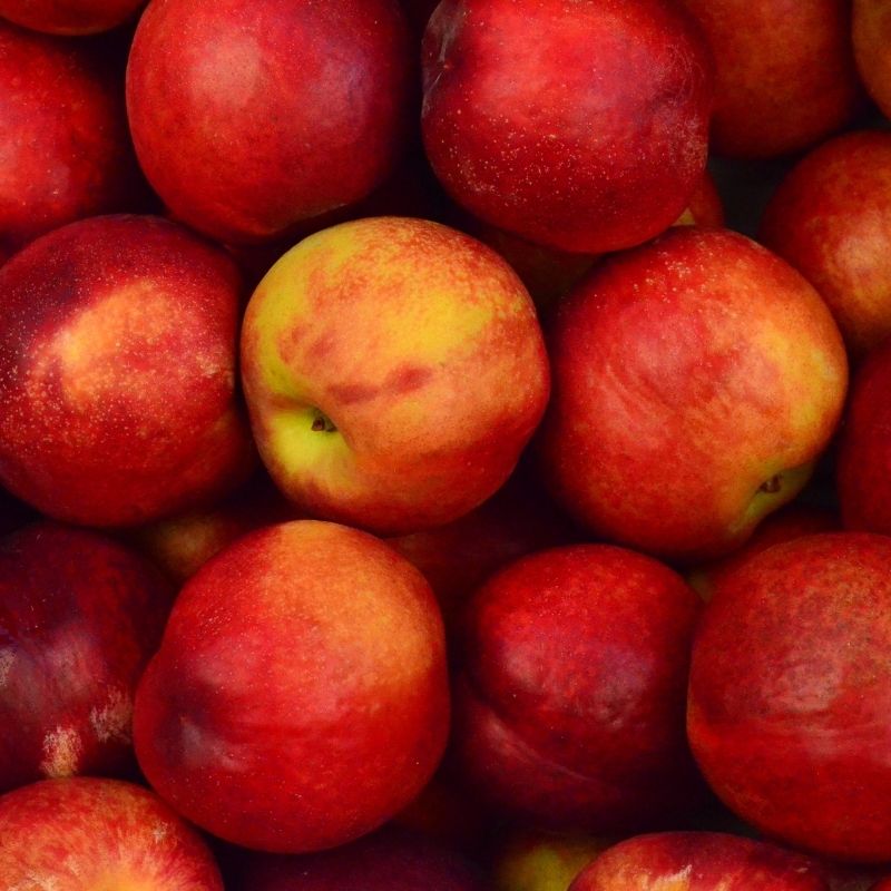 사과가 건강에 미치는 5가지 효과