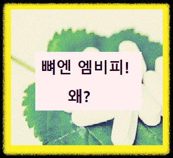 깻잎 위에 있는 뼈 건강에 좋은 엠비피