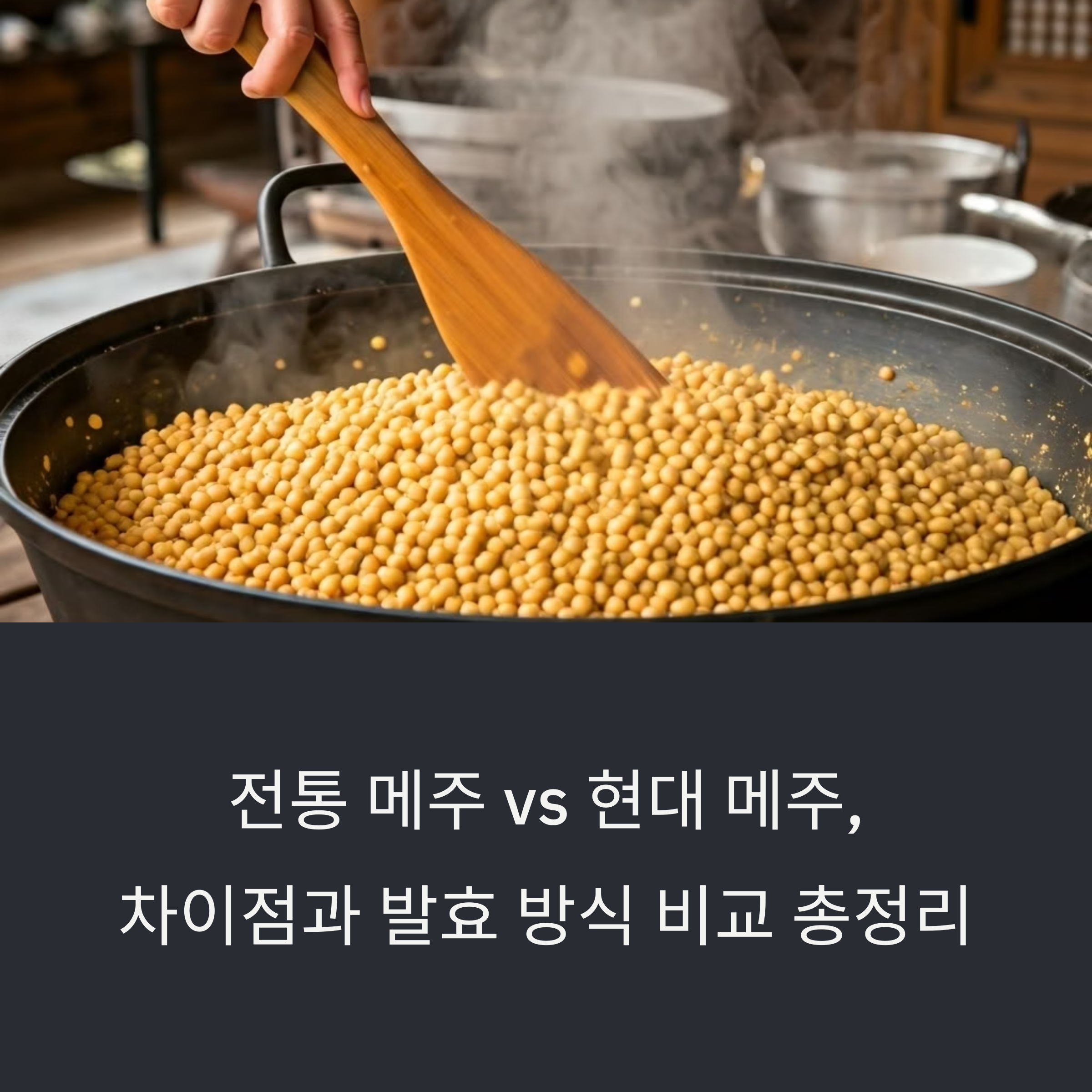 전통 메주 vs 현대 메주, 차이점과 발효 방식 비교 총정리