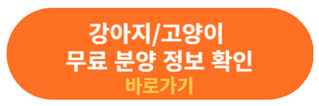 강아지 고양이 무료 분양 정보 확인