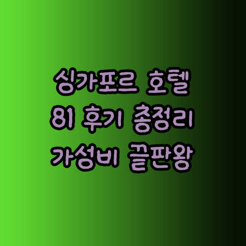 싱가포르 호텔 81 후기 총정리 가성