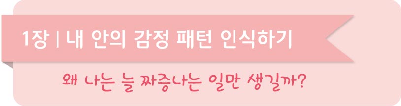 인생을 결정짓는 내 안의 감정 패턴1장