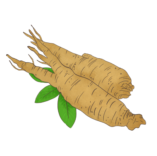 비장에 좋은 음식