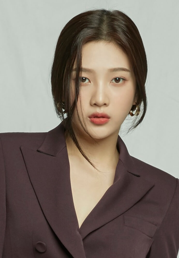 조이 출연확정&#44; &#39;어쩌다 전원일기&#39;에서 파출소 순경