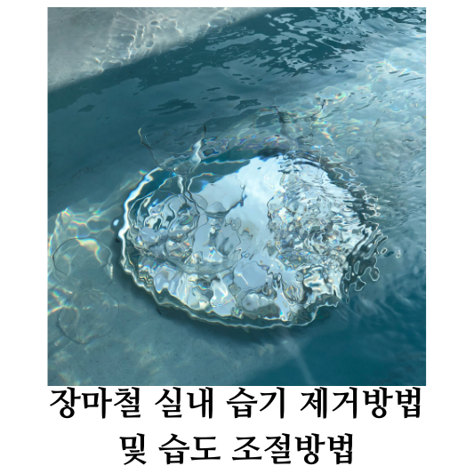 장마철 습기 제거방법