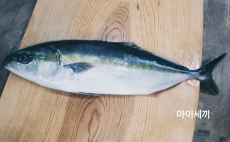 방어 산란기